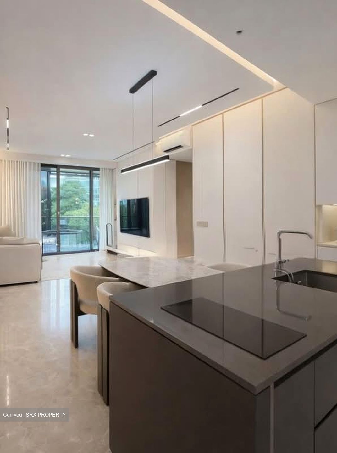 Amber Park (D15), Condominium #566453501